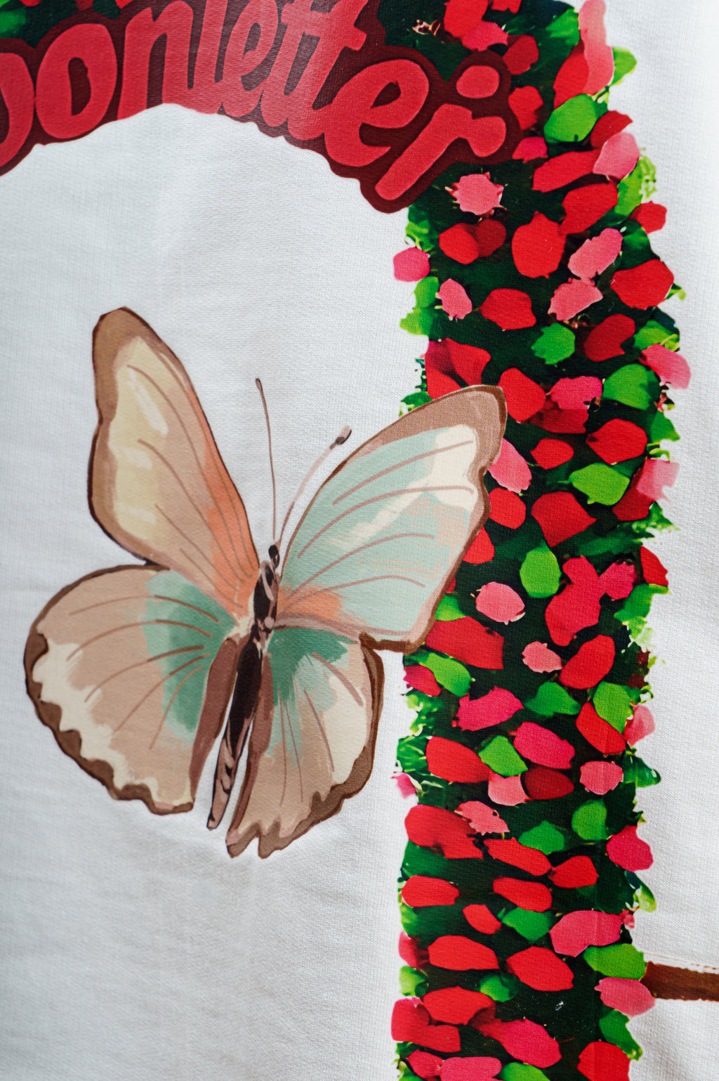 The butterfly effect! - Arctic Mist