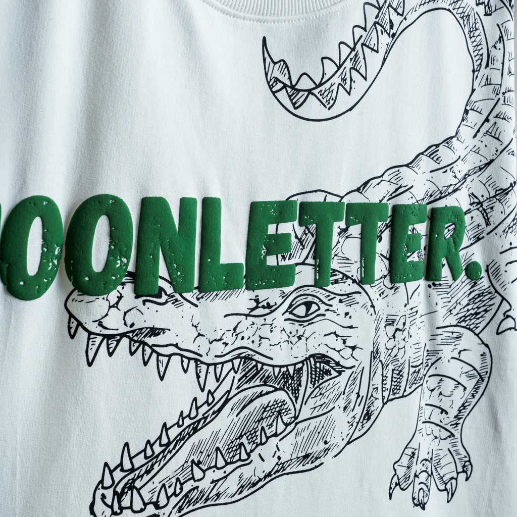 The Moonletter Croc - Arctic Mist